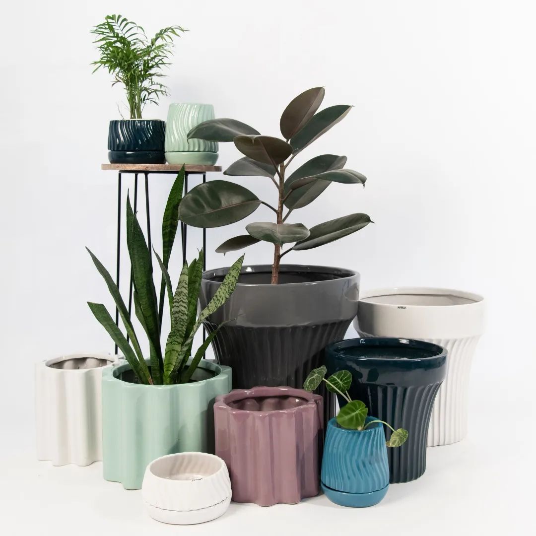 Pots & Planters